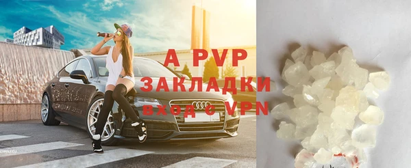 стафф Аркадак