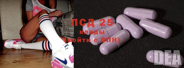 сатива Алзамай