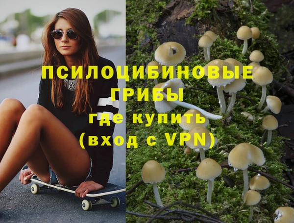 сатива Алзамай
