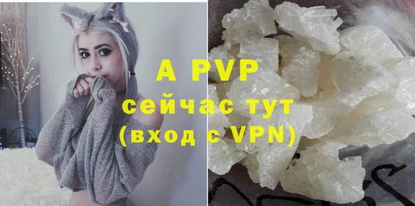 apvp Горнозаводск