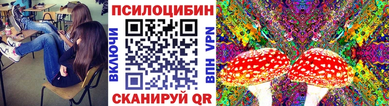 KRAKEN сайт  где купить наркоту  Артёмовск  Псилоцибиновые грибы мицелий 